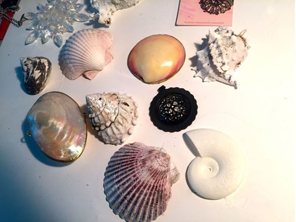 shells