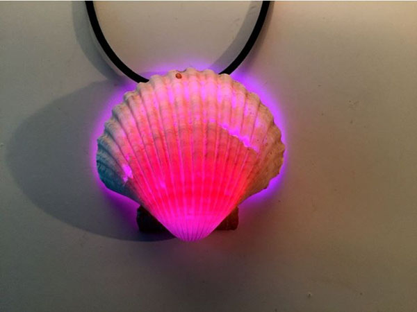 Seashell pendant